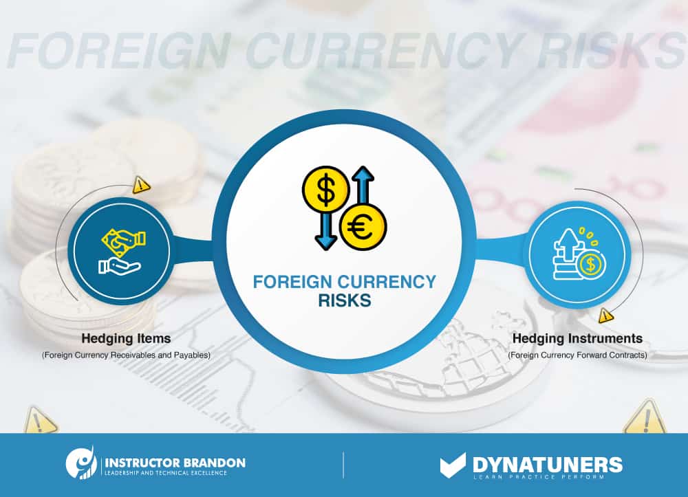 foreign currency revaluation and transaction risks